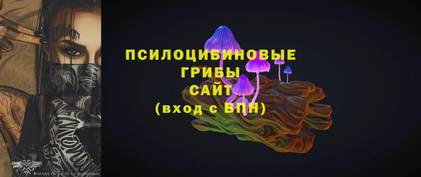 МДПВ Алексеевка