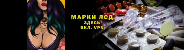 PSILOCYBIN Алзамай