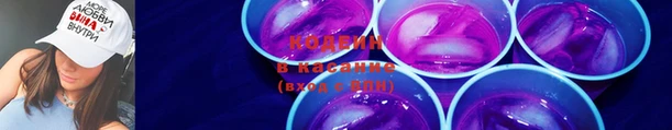 PSILOCYBIN Алзамай