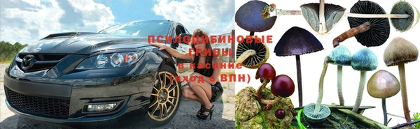 PSILOCYBIN Алзамай