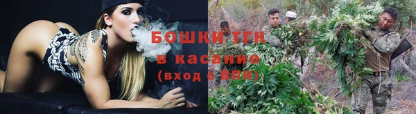 ГАЛЛЮЦИНОГЕННЫЕ ГРИБЫ Алексин