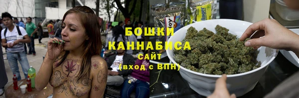 PSILOCYBIN Алзамай