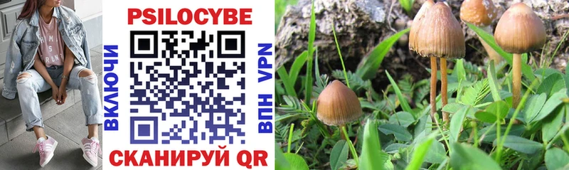 Галлюциногенные грибы Psilocybine cubensis  купить наркотики цена  Октябрьск 